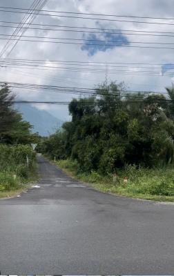 Sống Xanh – Đầu Tư An Toàn Tại Đất Nền Dương Minh Châu, Tây Ninh