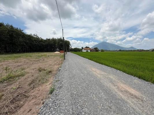 Đất Rẻ Vô Đối 2 Mặt Tiền– Vừa Ở, Vừa Đầu Tư Sinh Lời