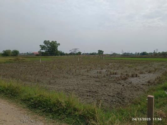 ???? Đón sóng hạ tầng giao thông TP.HCM – Long An 3 Lô – SHR – Chưa đến 8 triệu/m²